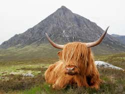 Highlands