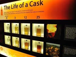 Scotch Whisky Experience