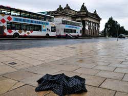Rainy weather in Edinburgh, umbrella